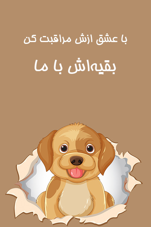 عرضه انواع غذاها و لوازم مورد نیاز نگه داری حیوانات خانگی در فروشگاه بزرگ بومال